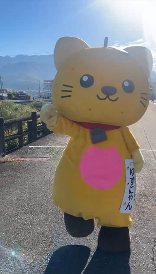 お散歩している様子