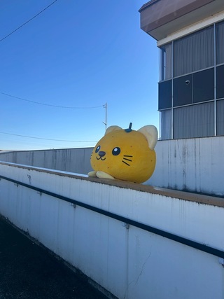 安福さんとのグリスロ旅が楽しくて思いに更けているゆずにゃん