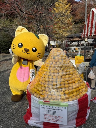 ゆずピラミッドと一緒に撮影しているゆずにゃん