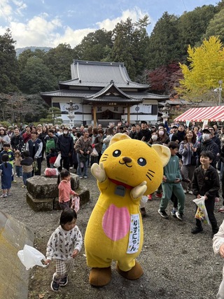 投げられる餅を取りたいゆずにゃん