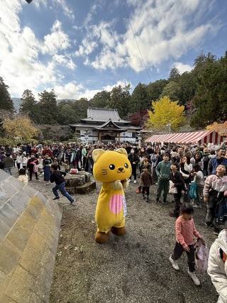 餅が取れず、困惑しているゆずにゃん