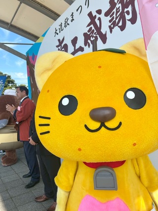 まっすぐ正面を見るゆずにゃん