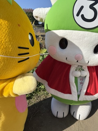 ゆずにゃんとふっかちゃん ゆずにゃんとふっかちゃん