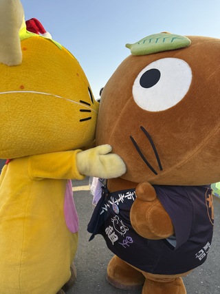 ゆずにゃんとムジナもん ゆずにゃんとムジナもん