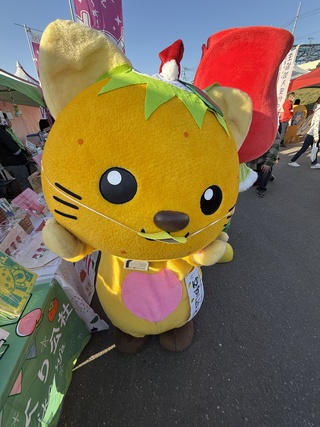 カッパの格好をしたゆずにゃん (2) カッパの格好をしたゆずにゃん (2)