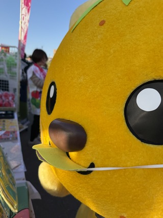 カッパの格好をしたゆずにゃん カッパの格好をしたゆずにゃん