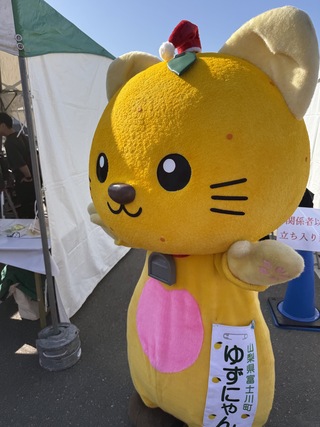 サンタクロースの仮装をしたゆずにゃん サンタクロースの仮装をしたゆずにゃん