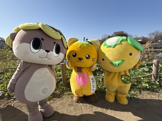 しんじょうくんとゆずにゃんとゆずがっぱ しんじょうくんとゆずにゃんとゆずがっぱ