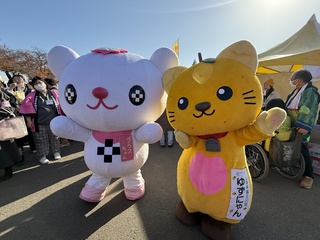 プラスちゃんとゆずにゃん プラスちゃんとゆずにゃん