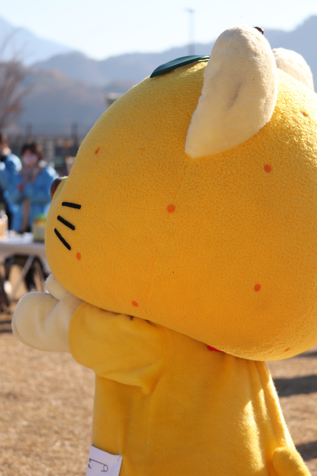 ゆずにゃんの横顔 ゆずにゃんの横顔