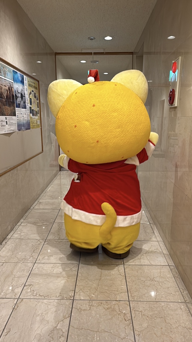 サンタゆずにゃんがおうちに帰るキュートなお尻