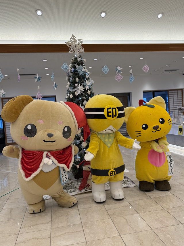 ツリーとみのワン、ぽんぽん、ゆずにゃん撮影風景