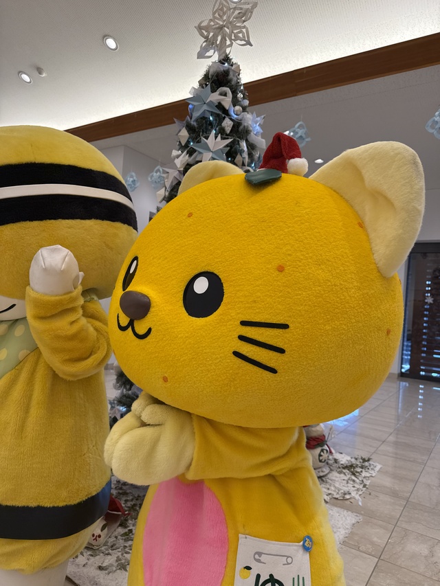 ぽけーっとしているゆずにゃんサンタ