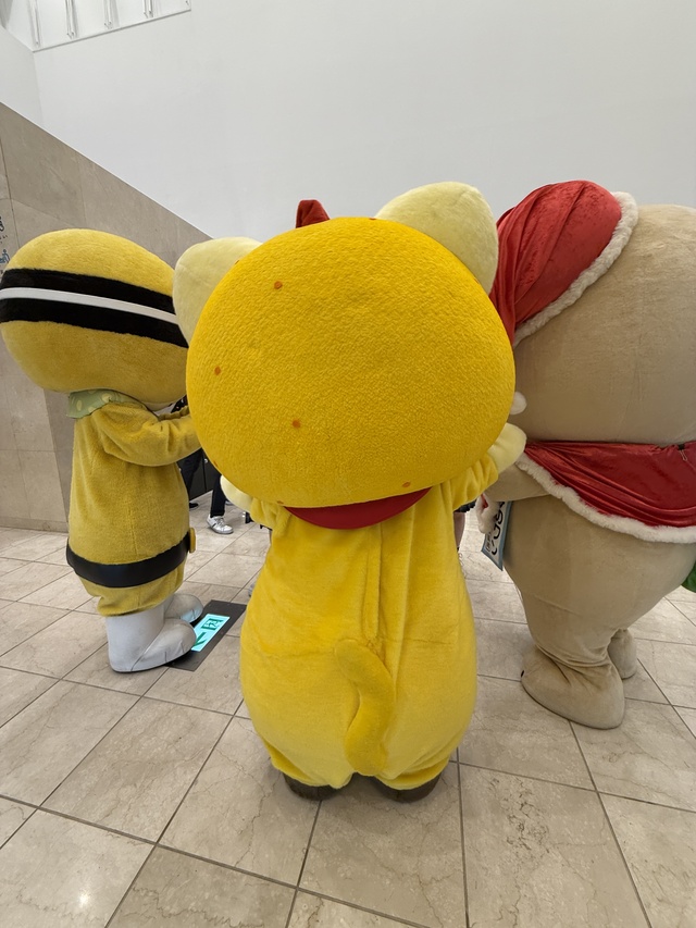 ぽんぽん、ゆずにゃん、みのワンで井戸端会議