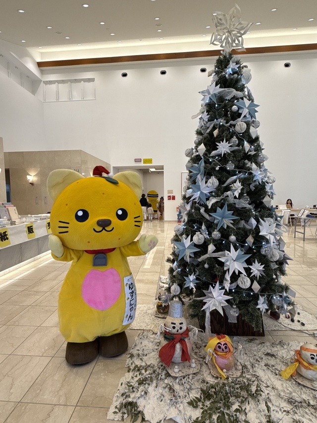 ゆずにゃん、クリスマスツリーと撮影