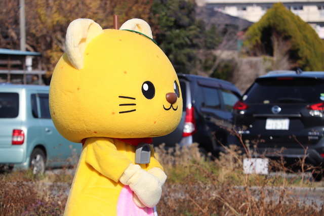 ゆぅにゃん ゆにゃ ゆうにゃ ゆうにゃ ゆうニャン ゆにゃん スリクソン ZX