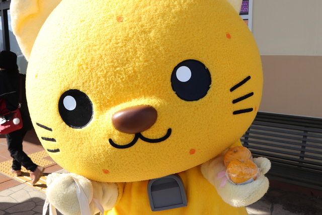 ゆずはいかが、と聞いているゆずにゃん ゆずはいかが、と聞いているゆずにゃん