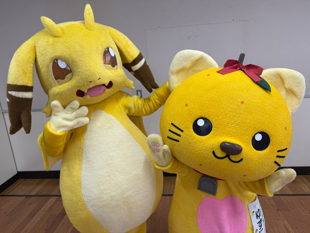 イルシアくんとゆずにゃん