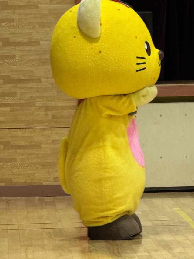 ゆずにゃん横顔 ゆずにゃん横顔