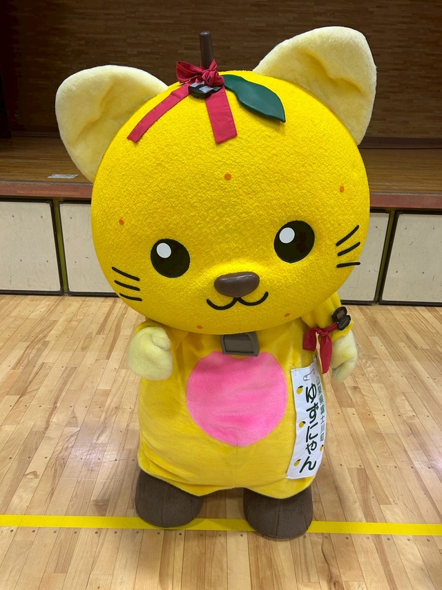 よーいで構えるゆずにゃん よーいで構えるゆずにゃん
