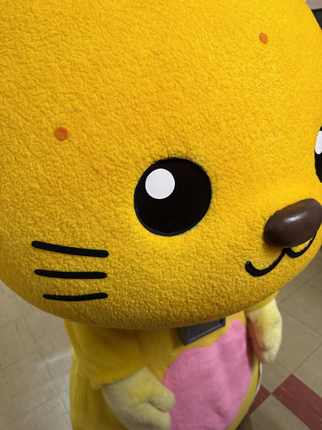 1緊張のおももちのゆずにゃん 1緊張のおももちのゆずにゃん