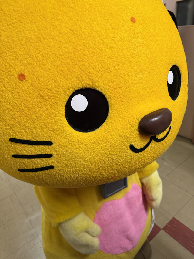 12緊張のおももちのゆずにゃん 2緊張のおももちのゆずにゃん