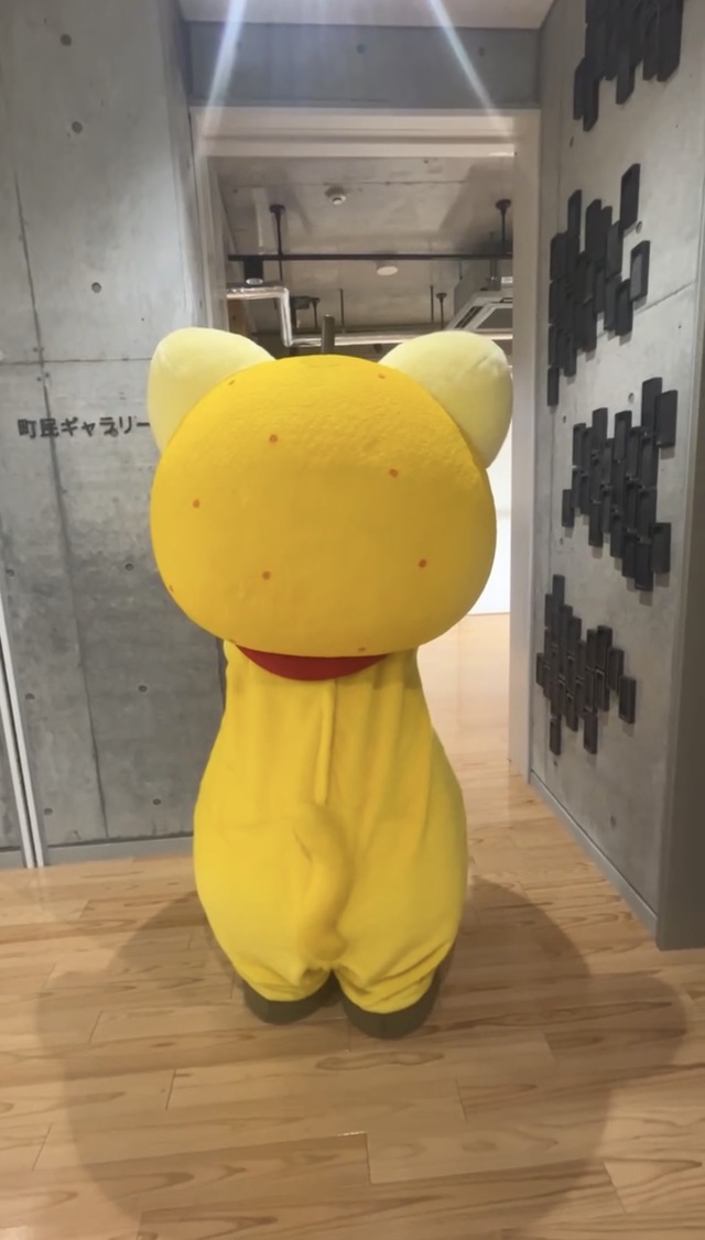 町民ギャラリー前で立ち止まるゆずにゃん