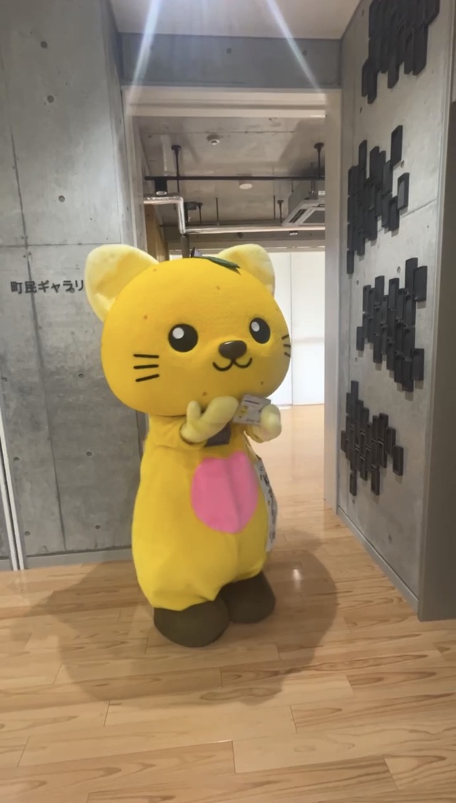 振り向くゆずにゃん