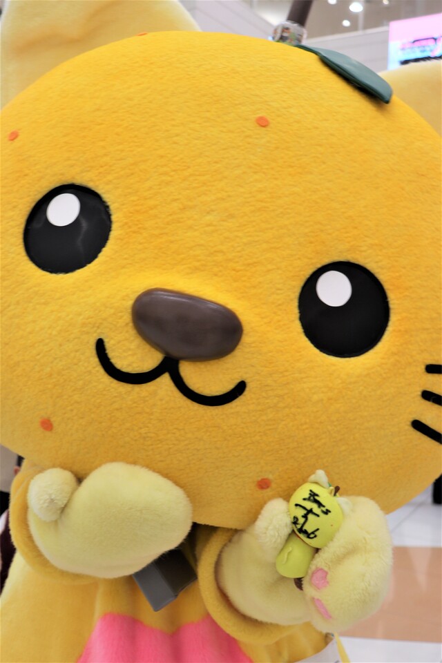 サインをもらって見せるゆずにゃん