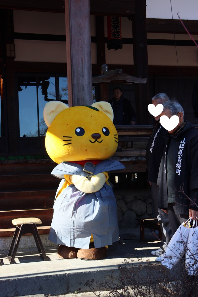 昌福寺で黄昏ているゆずにゃん