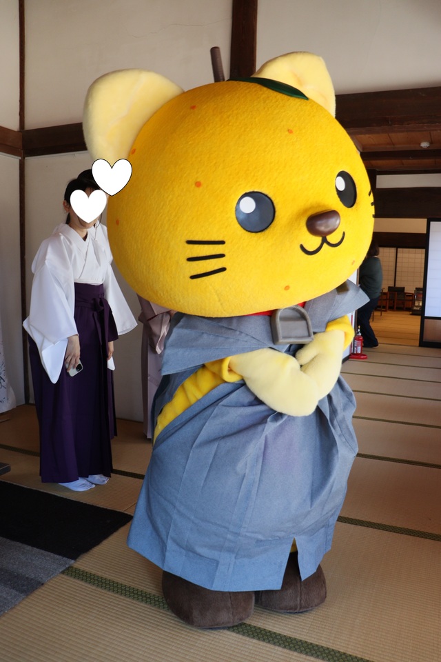 ゆずにゃんが袴を着て、外を眺める様子
