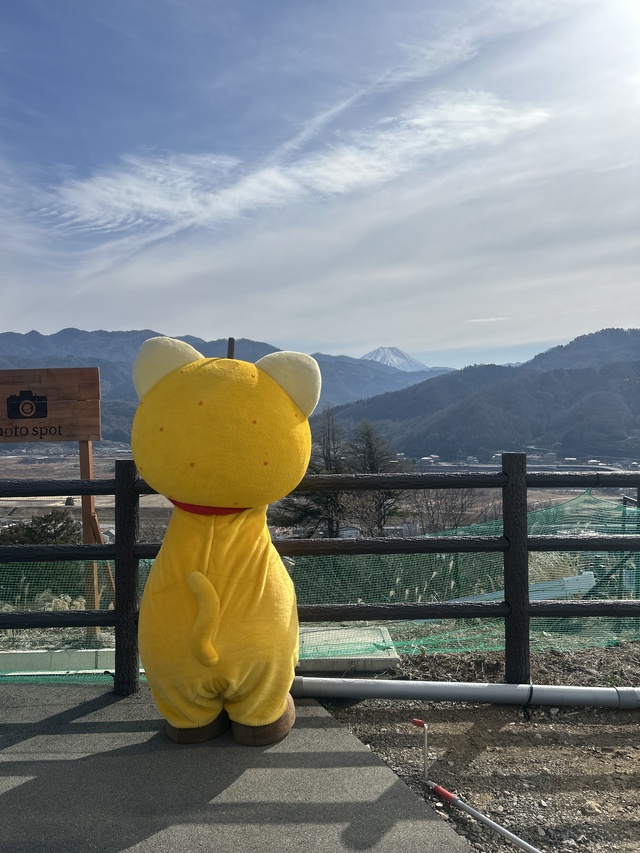 富士山を眺めるゆずにゃん