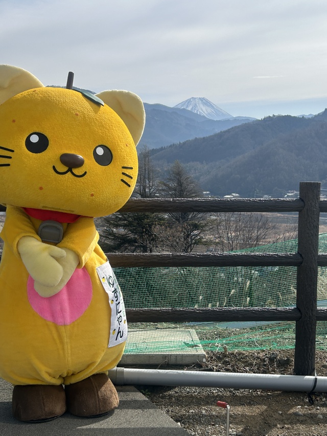 富士山を背景におすましなゆずにゃん